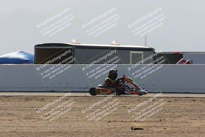 media/Mar-29-2025-Pro Autosports (Sat) [[89b1c017ad]]/6-Purple Group/Main Race/